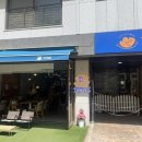 삼송 브런치카페 피네 후기｜고양스타필드 근처 창릉천 테라스 뷰맛집 추천