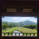 무지개영어도서관 | [전주] 2025 전주국제영화제 근데 전주 여행을 곁들인