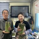 서춘천농업협동조합 이미지