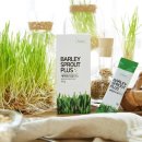 신토불이슈퍼 이미지