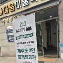 버디독 강아지분양 고양이분양 안심분양센터 서울 강서점 | 서울 강서 무료 안심분양센터 합리적인 가격! 버디독 강서점