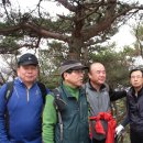 대전둘레산길(9구간) Daum카페