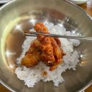 낙지 덮밥이 맛있는 고창복의 낙지세상 봉천점