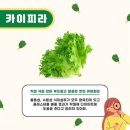 샐러디운서역점 이미지