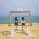 창준목장 | 2016.9.15-16 강원도 여행 / 당나귀목장 ><