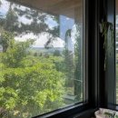 솜니제주 이미지