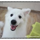 안녕하세요 이미지