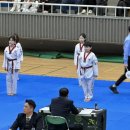 고려 태극태권도장 이미지