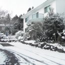 제주카사블랑카 이미지