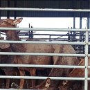 녹원록농장 이미지