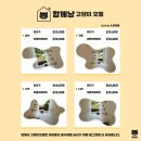 미용특공대 | 수원 고양이미용 함께냥 북수원점 길고양이 입양까지 함께하는 따뜻한 공간
