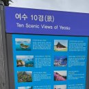 소호요트마리나 네이버블로그