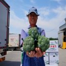 하늘농부유기농영농조합법인 이미지