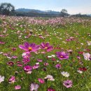 숲뜰근린공원 이미지