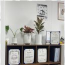 다해행정사사무소 이미지