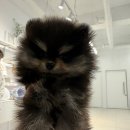 애현1길 이미지