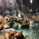 애완동물원 이미지