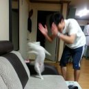 진자정육점 이미지