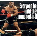 불스복싱 이미지