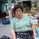 합천시장 네이버블로그
