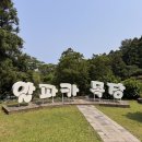 판판포포 이미지