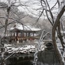 홍어마을 이미지