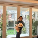 헤어앤블리 | WEDDING #6 리허설 촬영 헤어변형 브러쉬블리 후기 (클레이앤클레어 스튜디오)