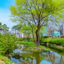 장충단공원 Daum카페