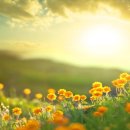 한지원 카카오 검색결과