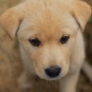 울산동물병원 이미지