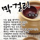 달인막걸리