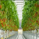 익산농장 이미지