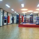 스타복싱2호점 이미지