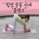 인터피티 이미지