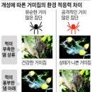 (주)네이처포유