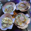 독도장어구이 | [부산 영도 맛집/영도 술집]현지인 추천 태종대 조개구이 맛집, 독도는우리땅