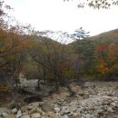 신흥사약수 이미지