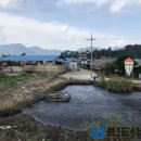 도성축산 이미지