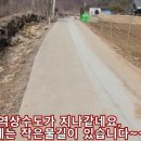 무릉도원면-5 Daum카페