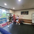 골든보이짐 이미지