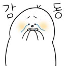 심리상담 세움 이미지