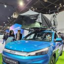 2025 BYD 일산 전시장 서울 모빌리티 쇼(feat 씰, 씨라 예언 7, 단자, 양왕, 시승)