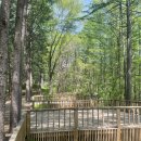 해지게캠핑장 | 평창 캠핑장 휘게포레스트 B11 후기 ! 명당 사이트