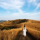 [야간]웰빙생활요리 이미지