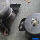 월드카닥터하우스 이미지