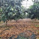 열이농장 이미지