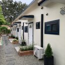 아라힐3 이미지