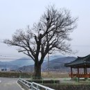 병곡면사무소 이미지