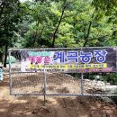 다하누 농장 | [팔당역 예봉산 계곡농장]성남 다하누 AZ쇼핑 구입한 고기와 계곡에서 즐거운 여름 휴가