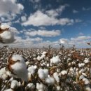 목화병원 이미지